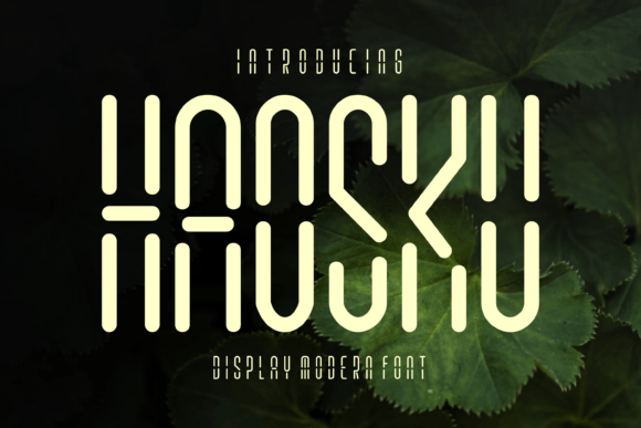 Haosku: The Display Font That Captures Digital Precision