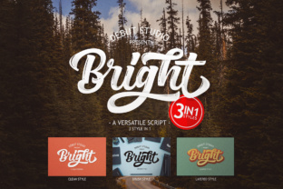 Unlocking Creative Potential with the Bright Script Typeface